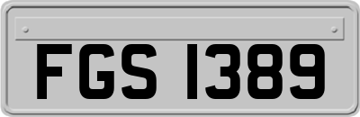 FGS1389