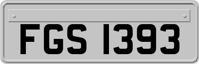 FGS1393
