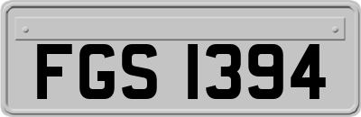 FGS1394