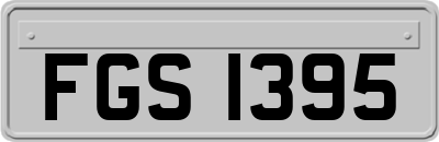 FGS1395