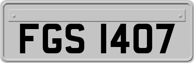 FGS1407