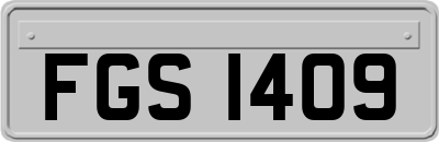 FGS1409
