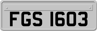 FGS1603