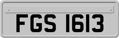 FGS1613