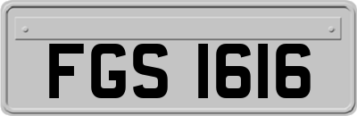 FGS1616