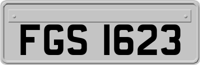 FGS1623
