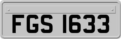 FGS1633