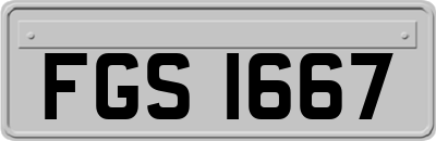 FGS1667