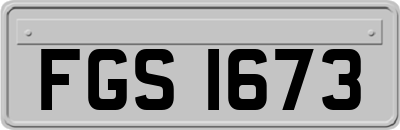 FGS1673