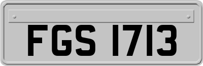 FGS1713
