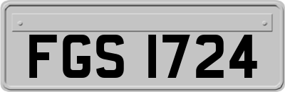 FGS1724