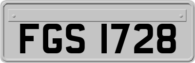 FGS1728