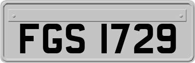 FGS1729