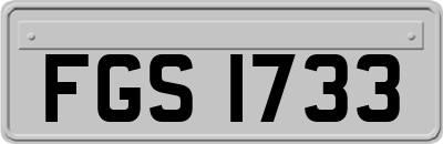 FGS1733