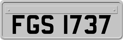 FGS1737