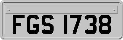 FGS1738