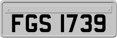 FGS1739