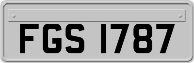 FGS1787