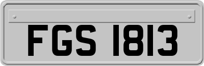 FGS1813