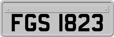 FGS1823