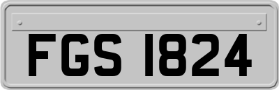 FGS1824