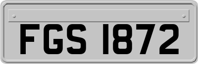 FGS1872