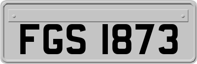 FGS1873