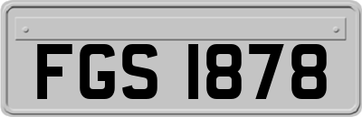 FGS1878