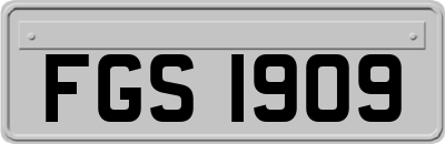 FGS1909