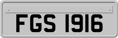 FGS1916