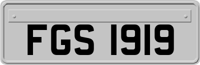 FGS1919