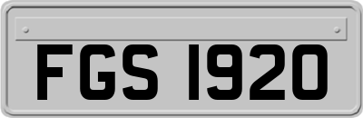 FGS1920