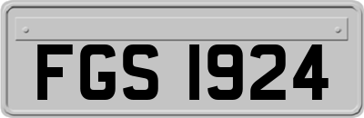 FGS1924