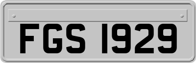 FGS1929