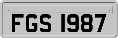 FGS1987