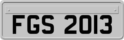 FGS2013