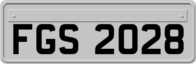 FGS2028