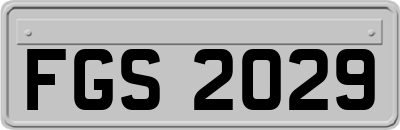 FGS2029
