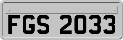 FGS2033
