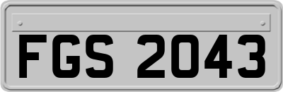 FGS2043