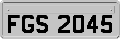 FGS2045