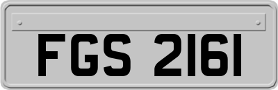 FGS2161