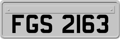 FGS2163