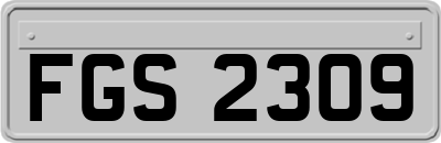 FGS2309
