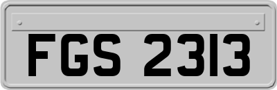 FGS2313