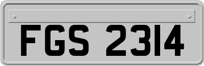 FGS2314