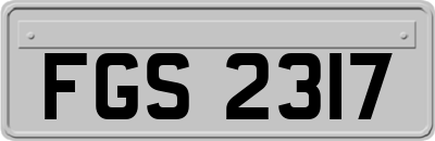 FGS2317