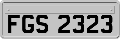 FGS2323