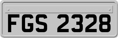 FGS2328