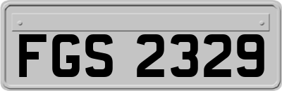 FGS2329